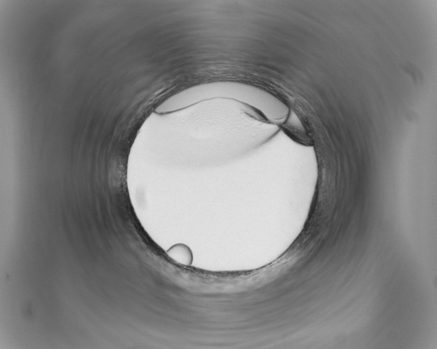 X0000110980048200907310958