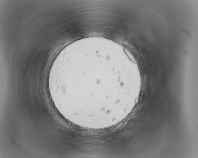 X0000110980049200907310957