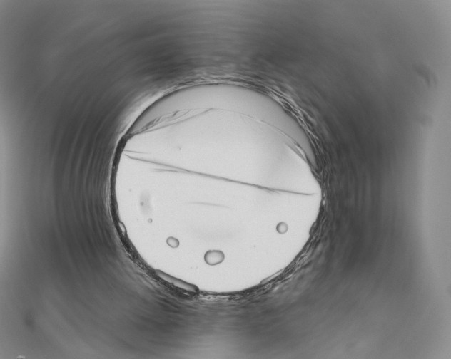 X0000110980052200907310957