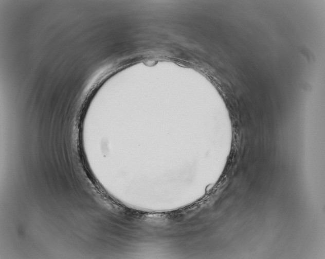 X0000110980053200907310957