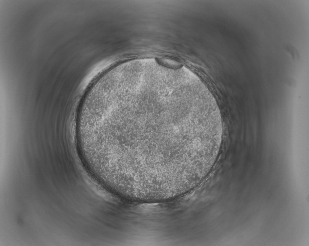 X0000110980054200907310957