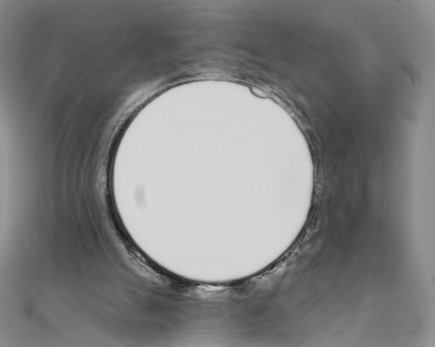 X0000110980055200907310957