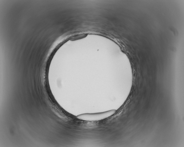 X0000110980056200907310957