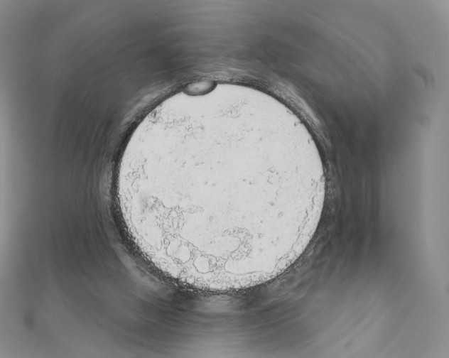 X0000110980058200907310957