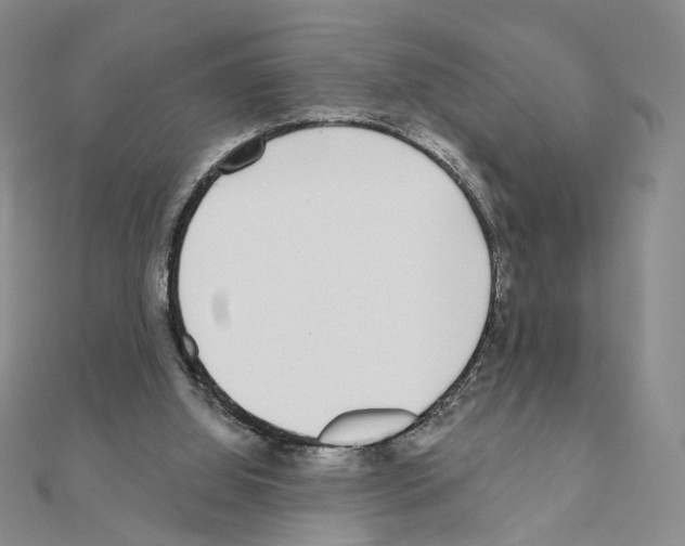 X0000110980060200907310957