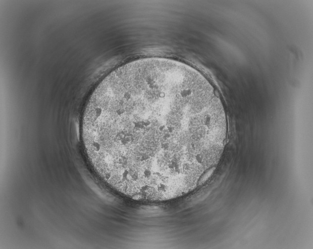 X0000110980061200907310957