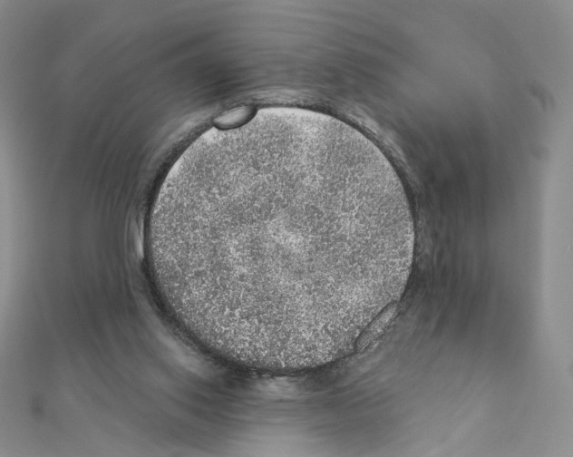 X0000110980062200907310957