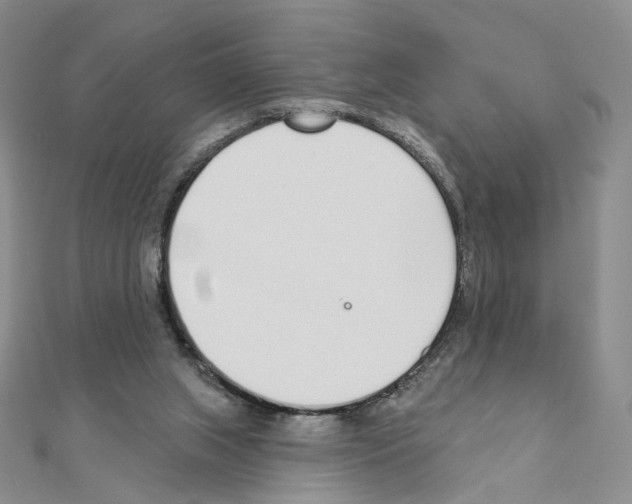 X0000110980063200907310957
