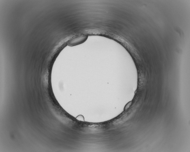 X0000110980064200907310957