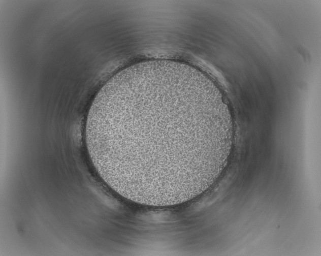 X0000110980065200907310957