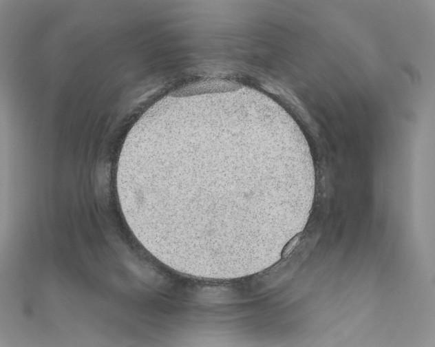 X0000110980066200907310957
