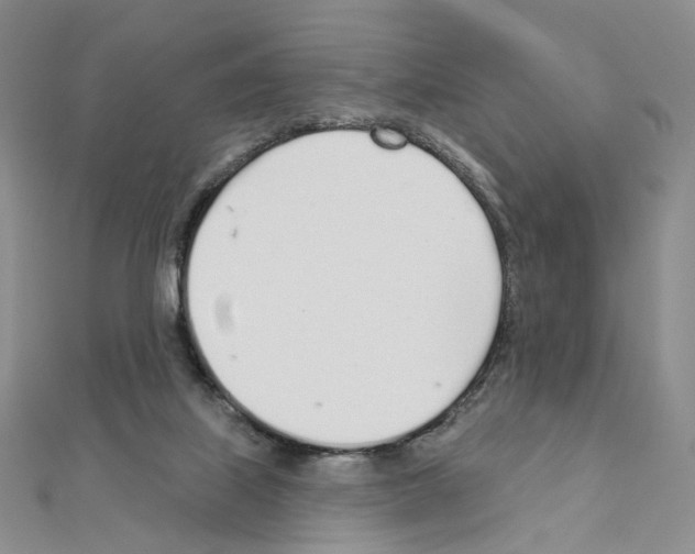 X0000110980067200907310957