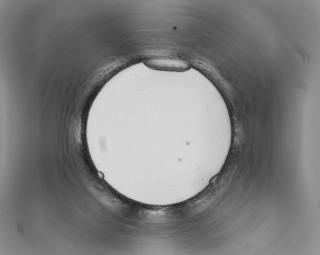 X0000110980068200907310957