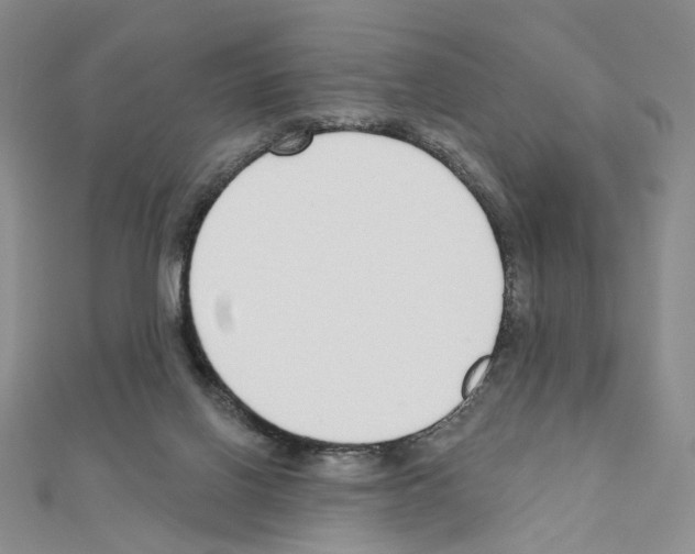 X0000110980070200907310958