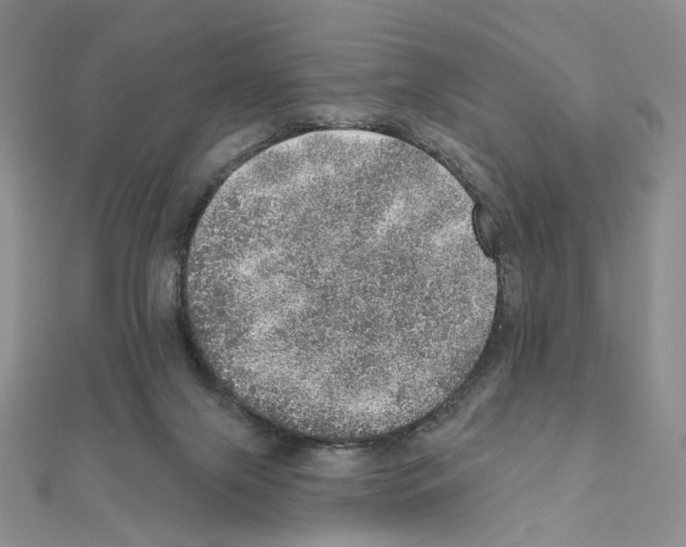 X0000110980071200907310958