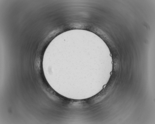 X0000110980072200907310958