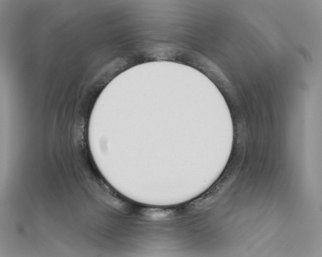 X0000110980073200907310958
