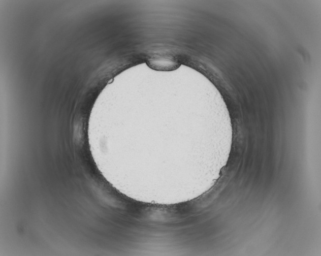 X0000110980074200907310958