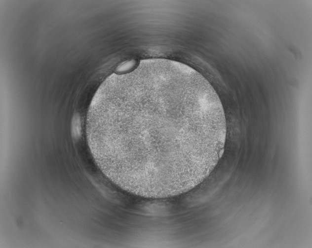 X0000110980075200907310958
