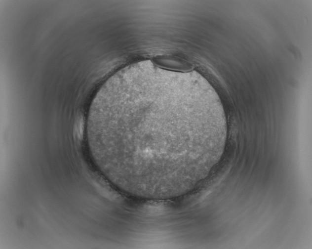 X0000110980076200907310958