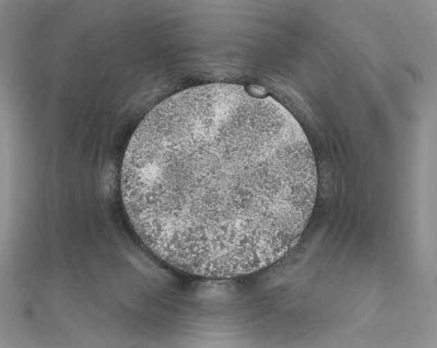 X0000110980077200907310958