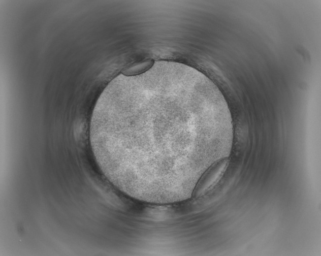 X0000110980079200907310958