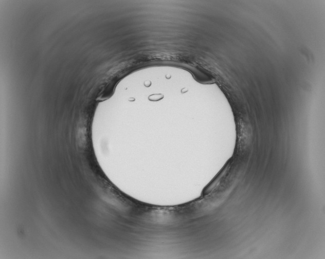X0000110980080200907310958