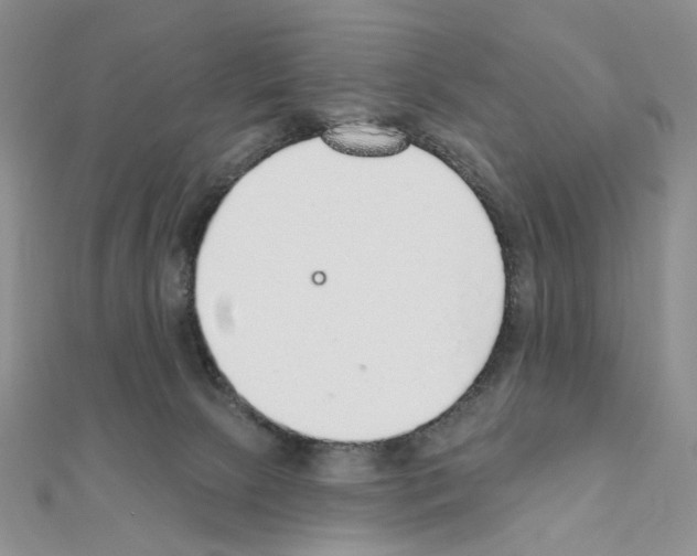 X0000110980081200907310958