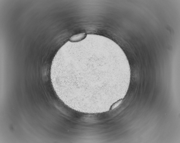 X0000110980082200907310958