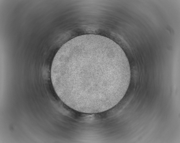 X0000110980083200907310958
