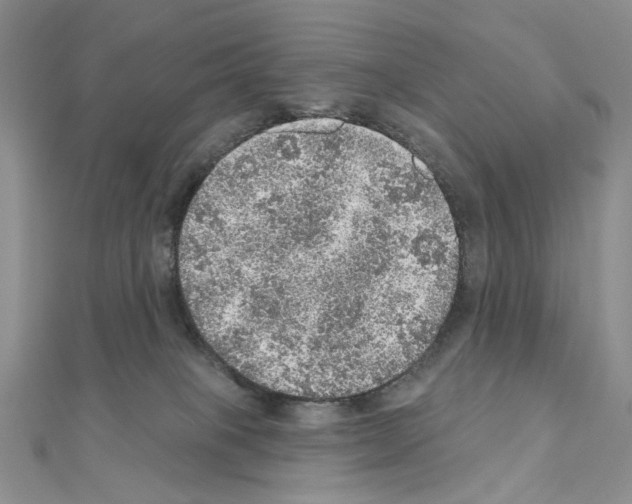X0000110980085200907310958