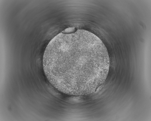 X0000110980086200907310958