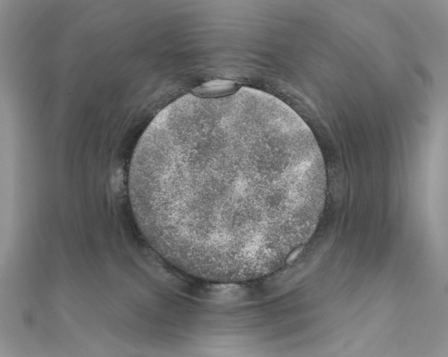 X0000110980087200907310958