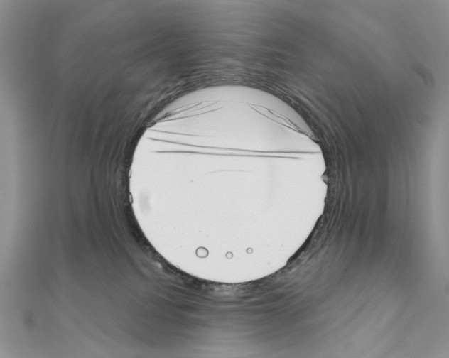 X0000110980088200907310958