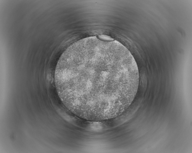 X0000110980091200907310958
