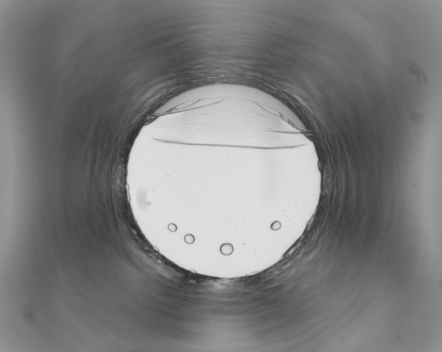 X0000110980092200907310958