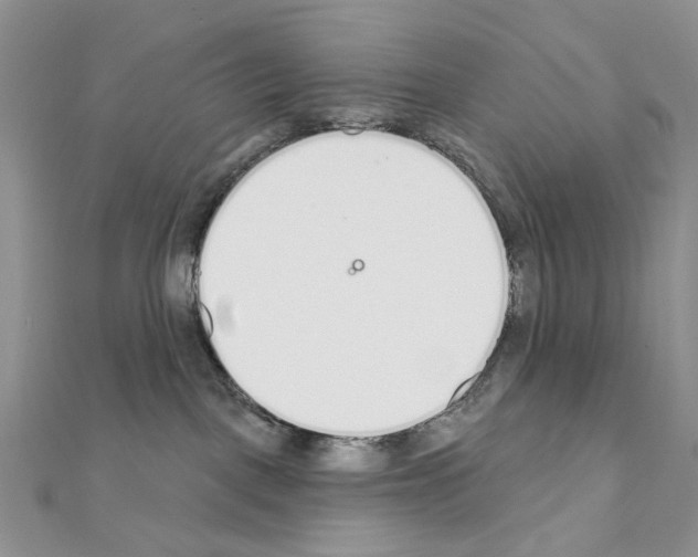 X0000110980093200907310958