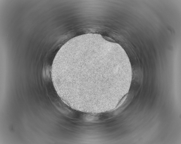 X0000110980094200907310958