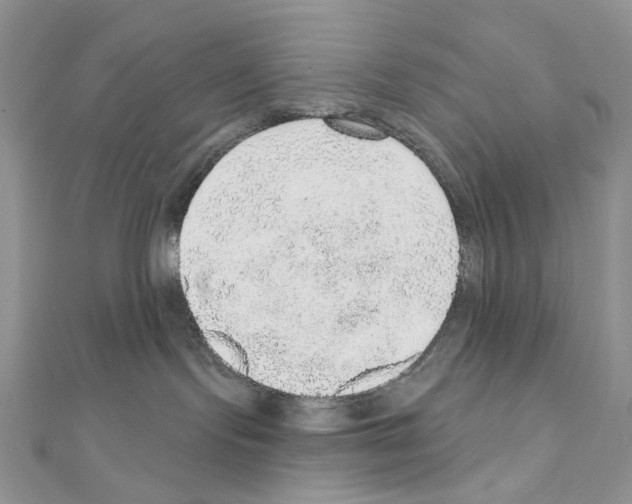 X0000110980095200907310958