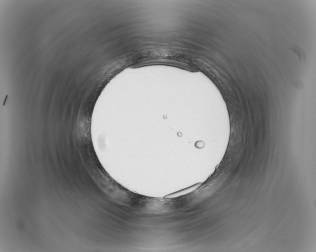 X0000110980096200907310958