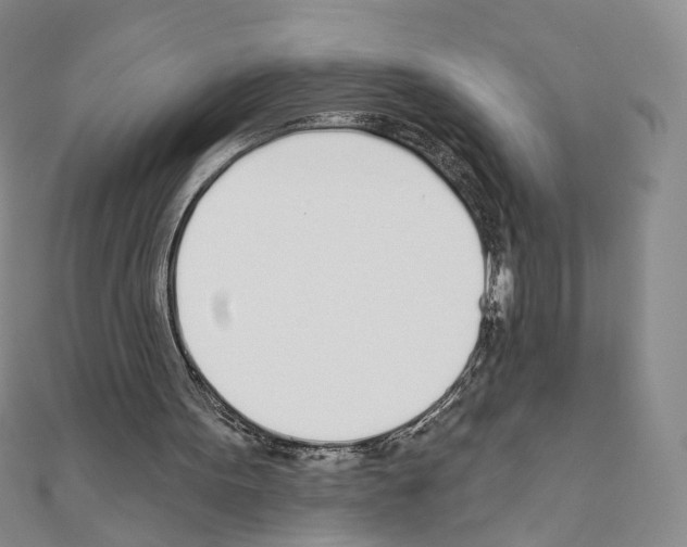 X0000110980099200907310957