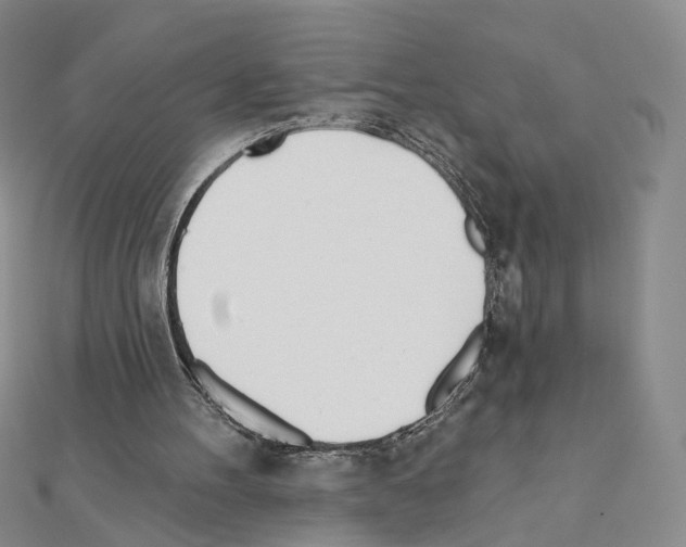 X0000110980100200907310957