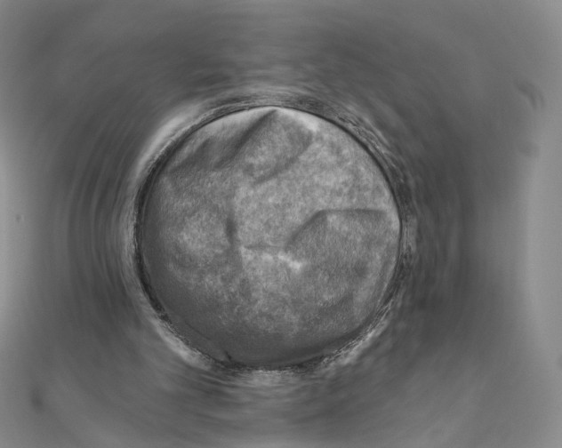 X0000110980101200907310957