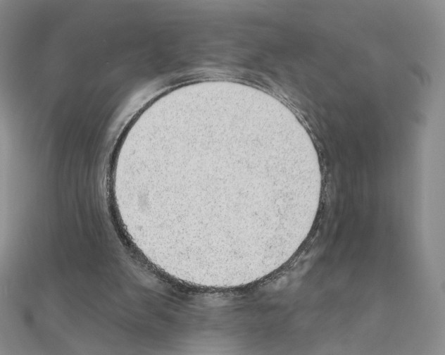 X0000110980103200907310957