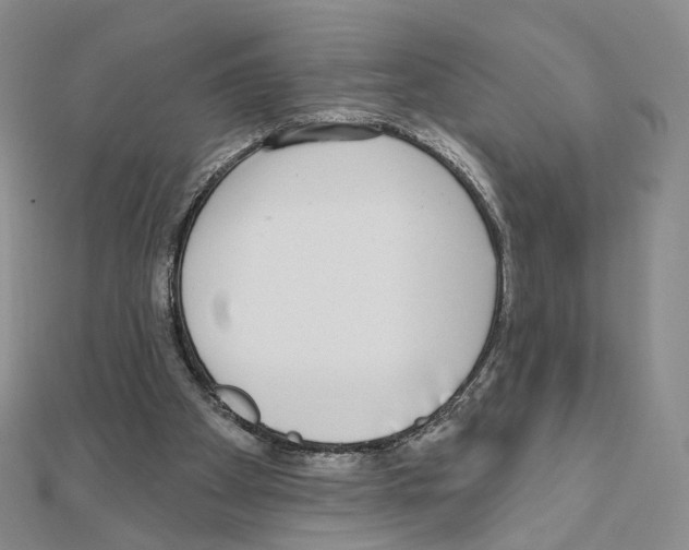 X0000110980105200907310957