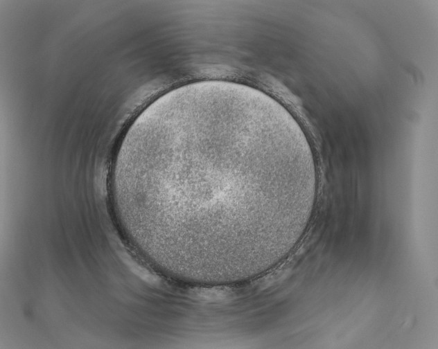 X0000110980106200907310957