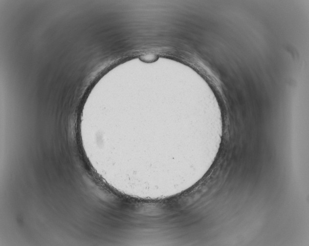 X0000110980107200907310957