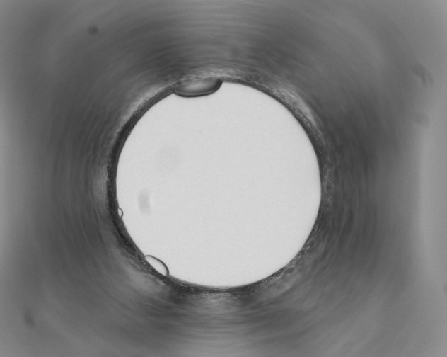X0000110980108200907310957