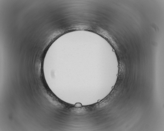 X0000110980110200907310957