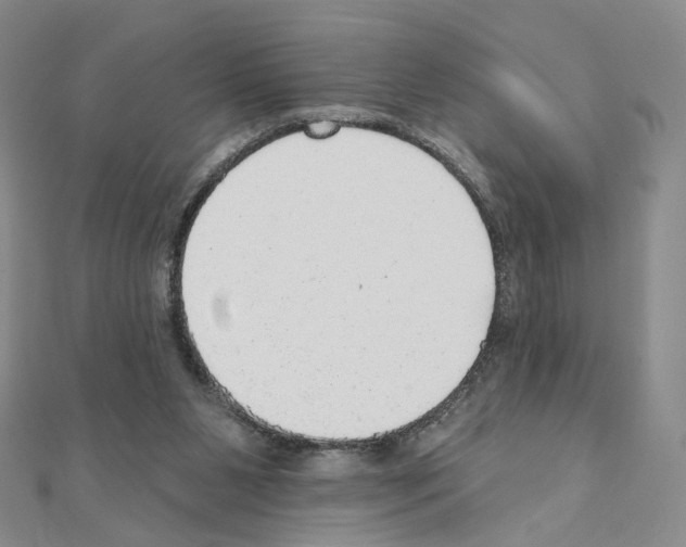 X0000110980111200907310957
